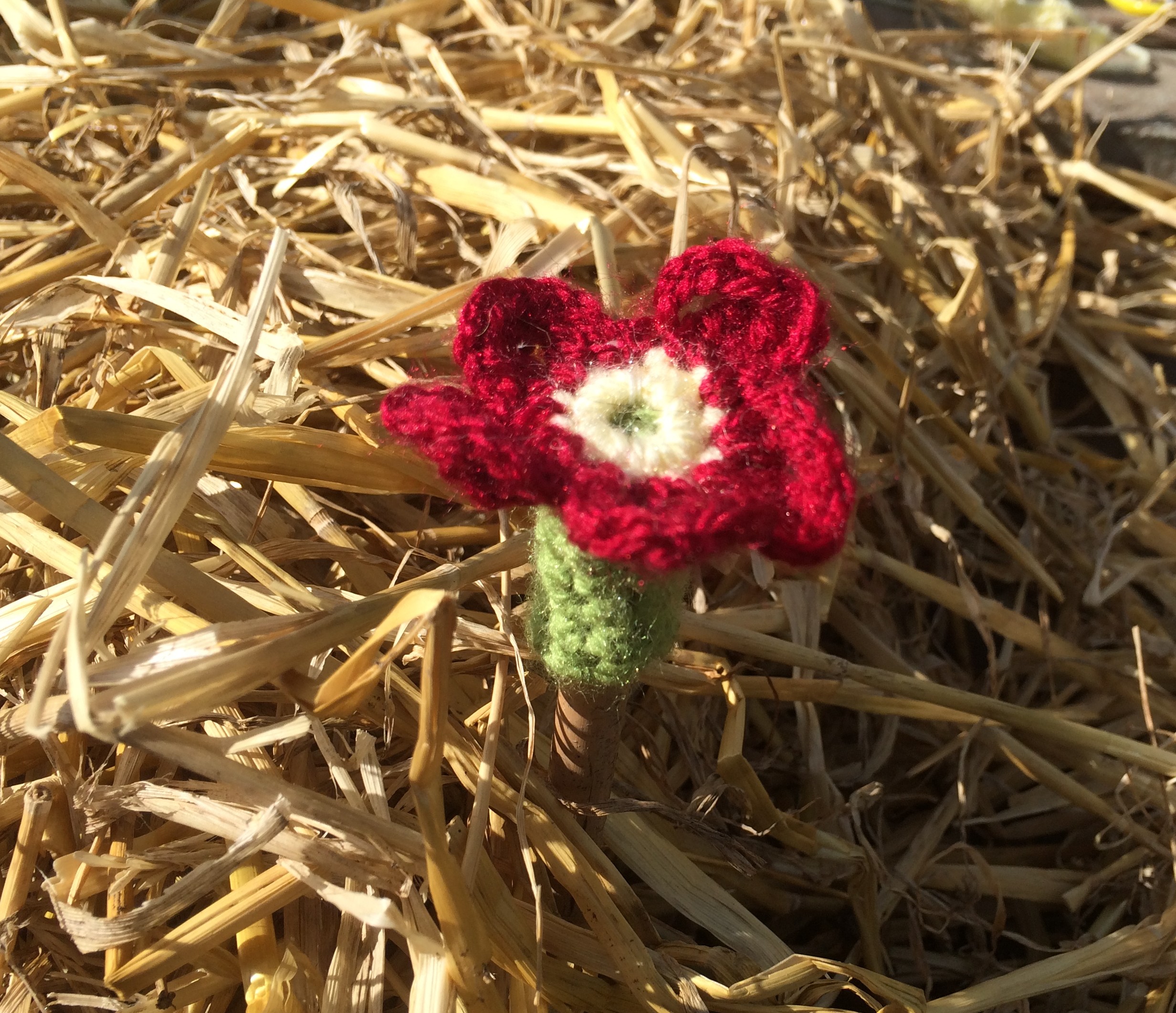 Crochet cane toppers - Gardening With Spirit