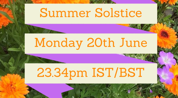 Summer Solstice Garden Updates 2016