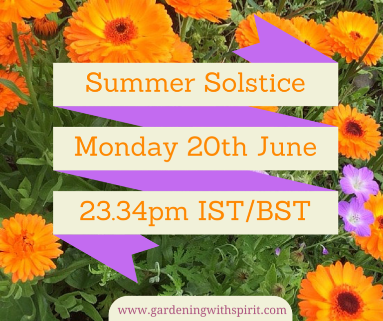 Summer Solstice Garden Updates 2016